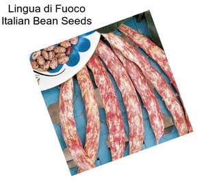 Lingua di Fuoco Italian Bean Seeds