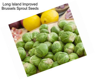 Long Island Improved Brussels Sprout Seeds