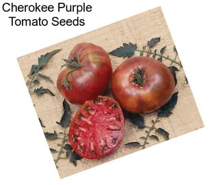 Cherokee Purple Tomato Seeds