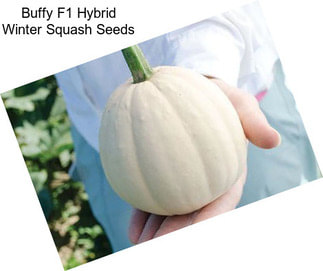 Buffy F1 Hybrid Winter Squash Seeds