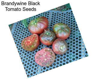 Brandywine Black Tomato Seeds