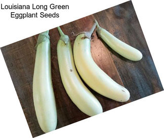 Louisiana Long Green Eggplant Seeds