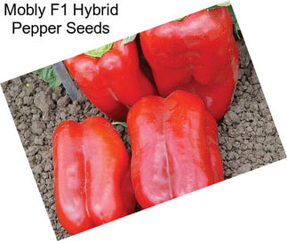 Mobly F1 Hybrid Pepper Seeds