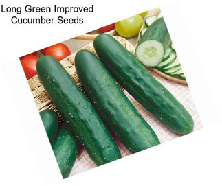 Long Green Improved Cucumber Seeds