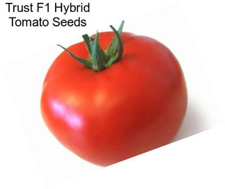 Trust F1 Hybrid Tomato Seeds
