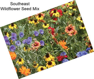 Southeast Wildflower Seed Mix