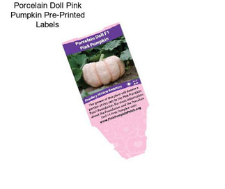 Porcelain Doll Pink Pumpkin Pre-Printed Labels