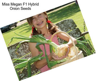 Miss Megan F1 Hybrid Onion Seeds