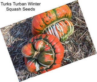 Turks Turban Winter Squash Seeds