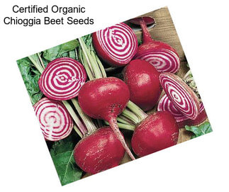 Certified Organic Chioggia Beet Seeds