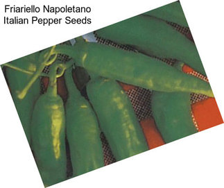 Friariello Napoletano Italian Pepper Seeds