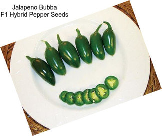 Jalapeno Bubba F1 Hybrid Pepper Seeds