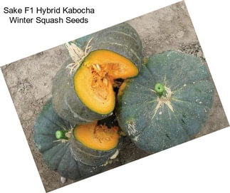 Sake F1 Hybrid Kabocha Winter Squash Seeds