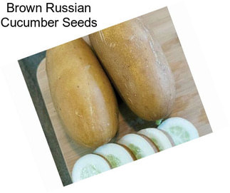 Brown Russian Cucumber Seeds