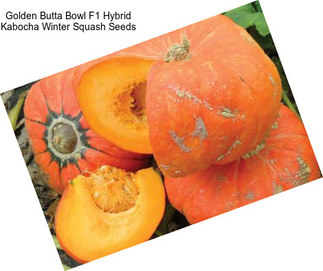 Golden Butta Bowl F1 Hybrid Kabocha Winter Squash Seeds