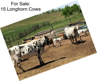 For Sale: 15 Longhorn Cows