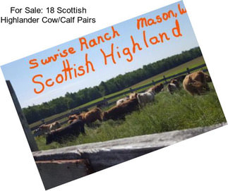 For Sale: 18 Scottish Highlander Cow/Calf Pairs