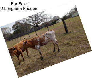 For Sale: 2 Longhorn Feeders