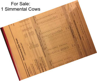 For Sale: 1 Simmental Cows