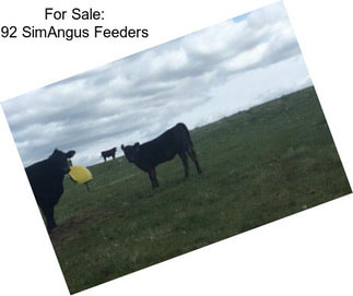 For Sale: 92 SimAngus Feeders