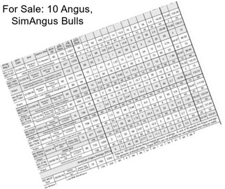 For Sale: 10 Angus, SimAngus Bulls