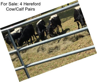 For Sale: 4 Hereford Cow/Calf Pairs