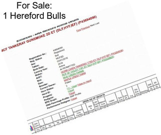 For Sale: 1 Hereford Bulls