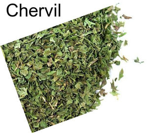 Chervil