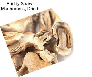 Paddy Straw Mushrooms, Dried