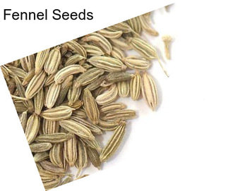 Fennel Seeds