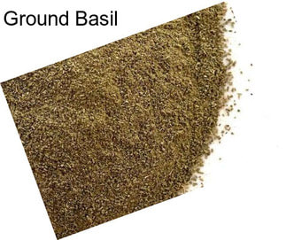 Ground Basil