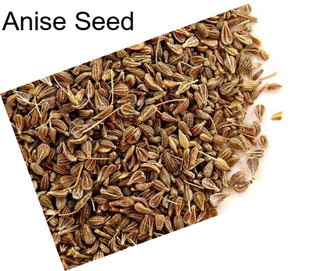 Anise Seed