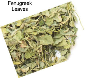 Fenugreek Leaves