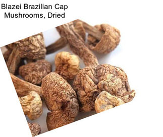 Blazei Brazilian Cap Mushrooms, Dried