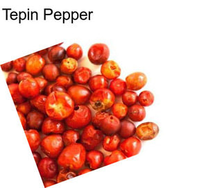 Tepin Pepper