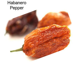 Habanero Pepper