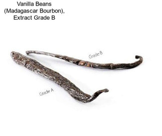 Vanilla Beans (Madagascar Bourbon), Extract Grade B