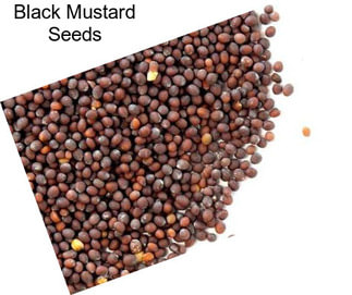 Black Mustard Seeds