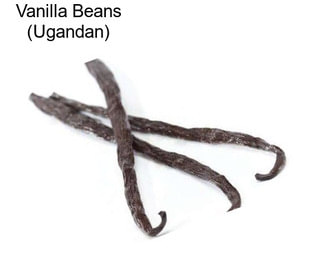 Vanilla Beans (Ugandan)