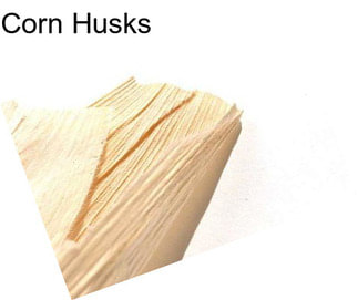 Corn Husks