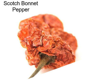 Scotch Bonnet Pepper