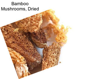 Bamboo Mushrooms, Dried