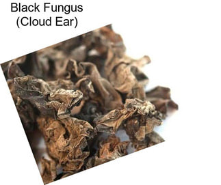 Black Fungus (Cloud Ear)