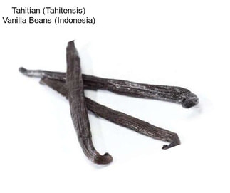 Tahitian (Tahitensis) Vanilla Beans (Indonesia)