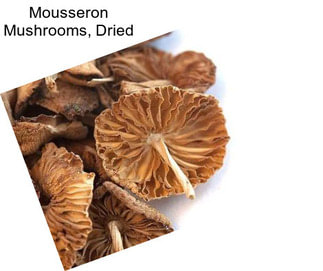 Mousseron Mushrooms, Dried