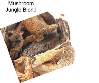 Mushroom Jungle Blend