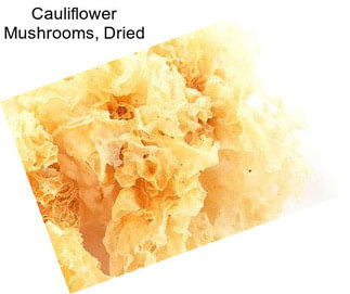 Cauliflower Mushrooms, Dried