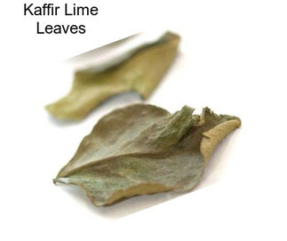 Kaffir Lime Leaves