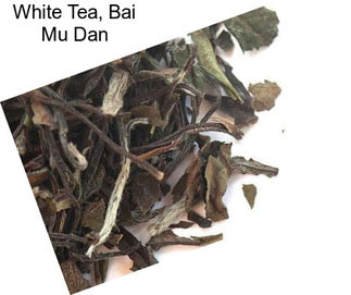 White Tea, Bai Mu Dan