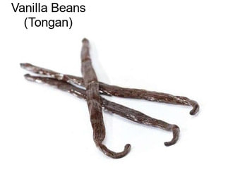 Vanilla Beans (Tongan)